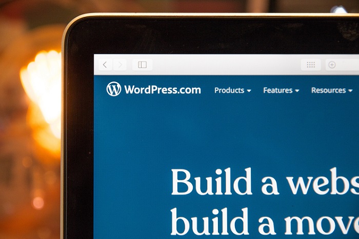 Wordpress Developer: Pengertian, Gaji, Skill, Dan Tools-nya